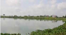 Laguna de Conchas